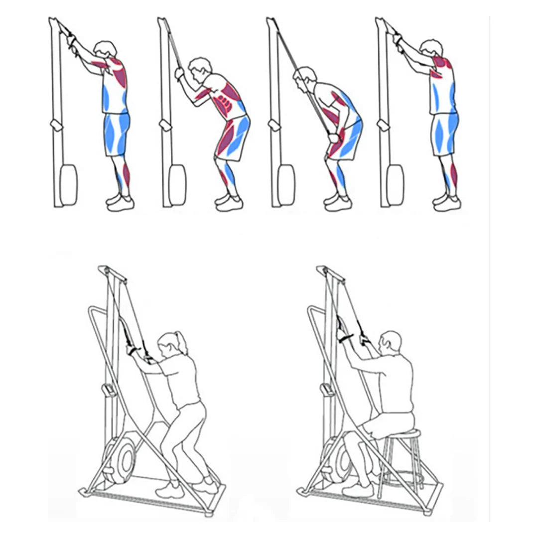 SkiErg Lion Fitness